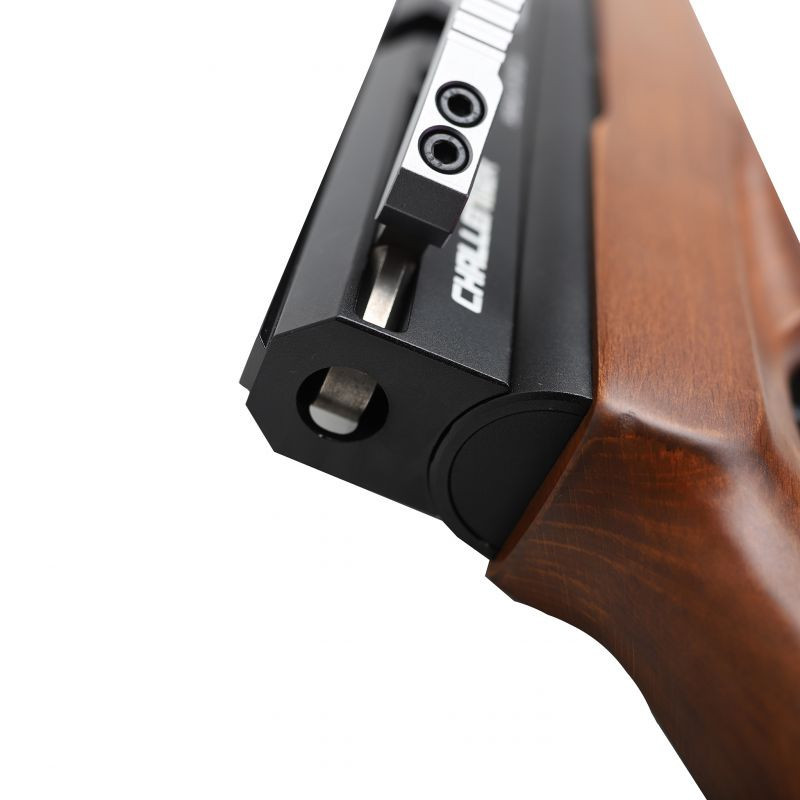 AEA Airgun Challenger Standard Big Bore