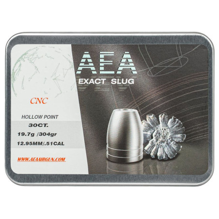 Slugs AEA Exact CNC 12,7 mm 304 grains